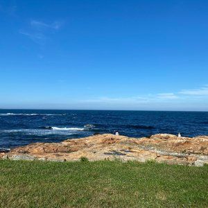 Meet your Posher, Distinct